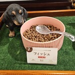 愛犬お宿 伊豆高原 - 