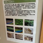 レストラン 川かぜ - まお？