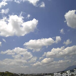 そば処 砂武縞 - 