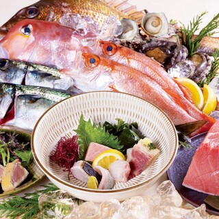 本物の博多の味を、洗練された空間で