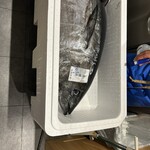 海鮮バイキング いろは - 