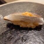 鮨 なんば - 小肌