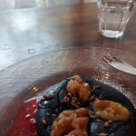 ミジンコブンコ - 