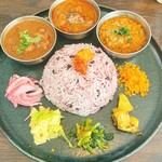 Curry Spice Gelateria KALPASI - 