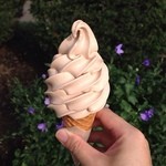 バーンズ - エクアドルチョコレート　340円（H26.8）