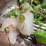 俺のフレンチ 博多 - 