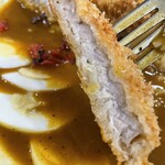 カリーハウス コロンボ - カツアップ