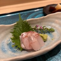 札幌 鮨 よこ田 - 