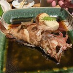 博多磯ぎよし - 