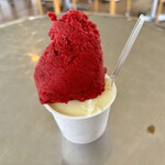 ミルミル本舗 本店 - 