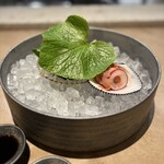 五味五感 時乃間 - 