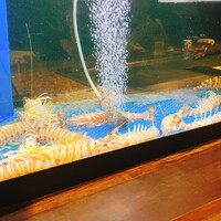 鉄板焼 十河 - 