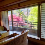 伊豆下田蓮台寺温泉清流荘 - 