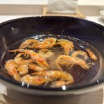 麻布十番 秦野よしき - 