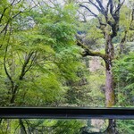 アルカナイズ - 