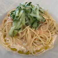 舵 - 