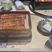 うなぎ 目白ぞろ芽 - 