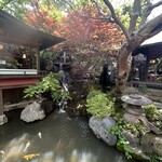 とうふ屋うかい - 池に泳いでいる錦鯉が癒しを頂けます。