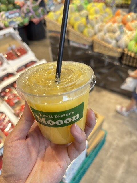 【Maton Cardiff】 ビクトリアンのフルーツスタンド MATON Custom Shop Grand Victorian|ドルフィンギターズ