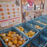 町家 - 