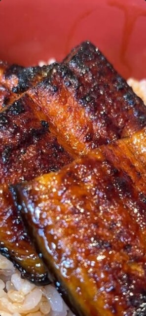 Unagi no Unayasu Komakiten photo 5