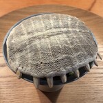 HIGASHITANI  - 月とすっぽん