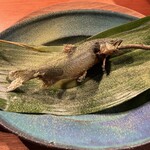 HIGASHITANI  - 鮎 抹茶 昆布 山葵 木の芽ソース