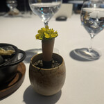 ラ・ヴァガボンド - 