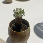 ラ・ヴァガボンド - 