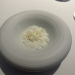 ラ・ヴァガボンド - 