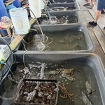 Shine Talay - ロブスター・カニ