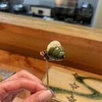 寿し 樹 - ニナ貝