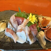 魚竹 - 