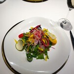 ピアッティ カステリーナ - 