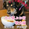 愛犬お宿 伊豆高原