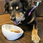 愛犬お宿 伊豆高原 - 