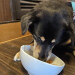 愛犬お宿 伊豆高原 - 