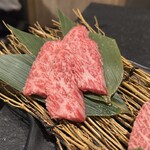 厳選黒毛和牛と極上焼肉の店 Yakiushi 秋葉原 - 黒毛和牛おまかせ5種盛り