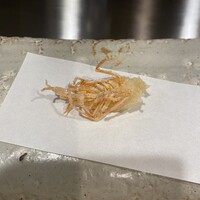 天ぷら 辻 - 