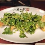 餃子酒場 一世一代 SECOND栄店 - パクチー餃子。