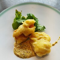 COLONIAL BEACH 横浜ハンマーヘッド - 