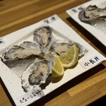 ITALIAN＆OYSTER SEASON - 