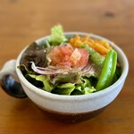 ヒキカフェ - パスタにセットのサラダ