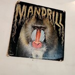 マンドリルカレー - コレの肉入ってたらウケたのにw