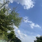 ららららーめんや - ついに5月に突入。そば屋さんの帰りに反町公園でネクターを飲みながら5月らしい空を見上げていた