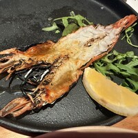 RIGOLETTO KITCHEN - 