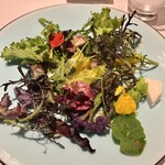 ダフィーロ - インサラータ