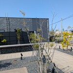 スターバックスコーヒー - 