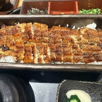 うなぎ四代目菊川 ミッドランドスクエア 名古屋本店 - 