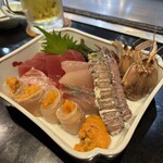 たぬき ラクーンドッグ - 